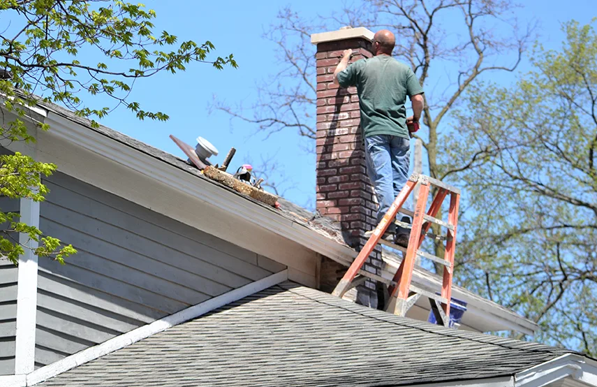 Chimney & Fireplace Inspections Services in Bloomington, CA
